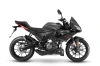 Aprilia Tuono 125 Grau Mamba Seite rechts