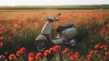 Vespa Primavera 150 Beige Avvolgente live Vorne rechts