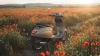 Vespa Primavera 50 Beige Avvolgente live Hinten rechts
